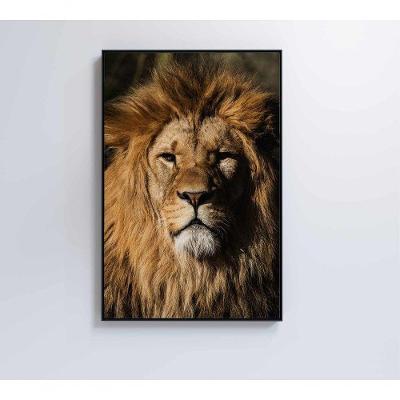 Quadro Leão 60x90 Cm Adesivo Fotográfico