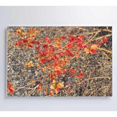 Quadro Galhos E Flores 60x40 Cm Tecido Canvas