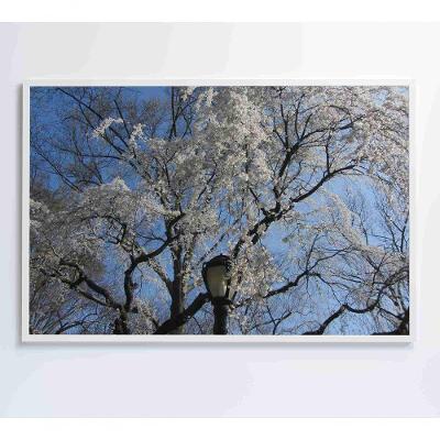 Quadro árvore Cerejeira 120x80 Cm Tecido Canvas