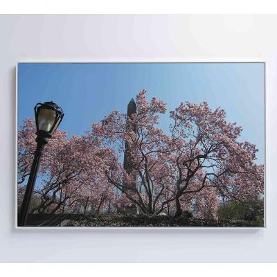Quadro árvore Cerejeira 2 120x80 Cm Tecido Canvas