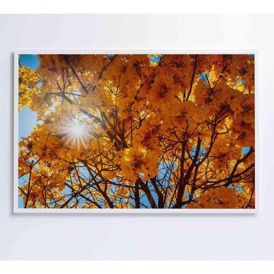 Quadro Ipê Amarelo 2 60x40 Cm Tecido Canvas