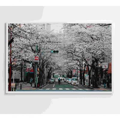 Quadro Cerejeiras Na Cidade 90x60 Cm Tecido Canvas
