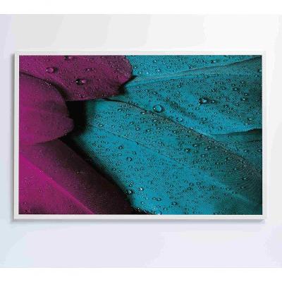Quadro Penas Coloridas 120x80 Cm Vidro Impresso
