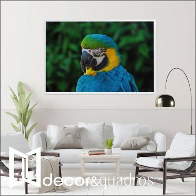 Quadro Arara 120x80 Cm Tecido Canvas