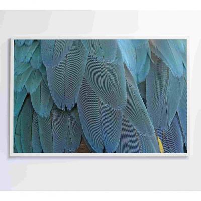 Quadro Penas Azuis 120x80 Cm Tecido Canvas
