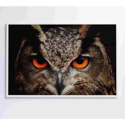Quadro Coruja 120x80 Cm Vidro Impresso