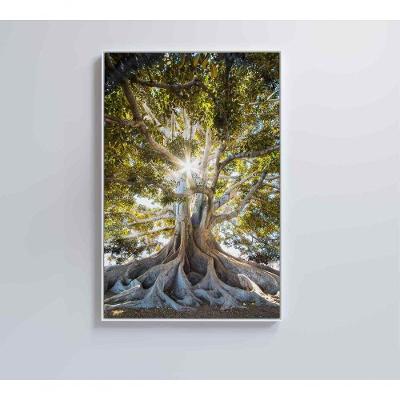 Quadro árvore 40x60 Cm Vidro Impresso