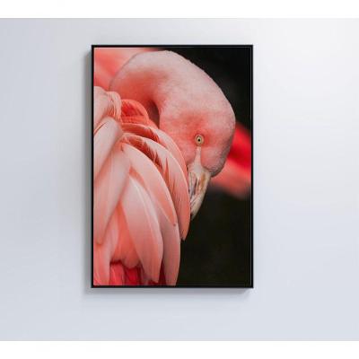 Quadro Flamingo 80x120 Cm Adesivo Fotográfico