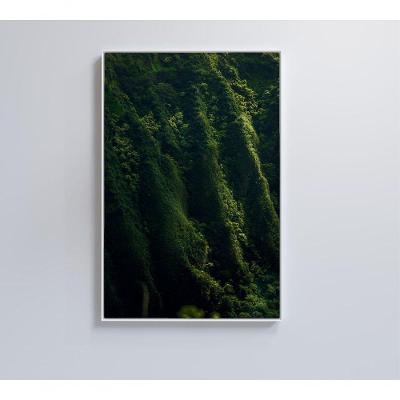 Quadro Floresta 60x90 Cm Tecido Canvas