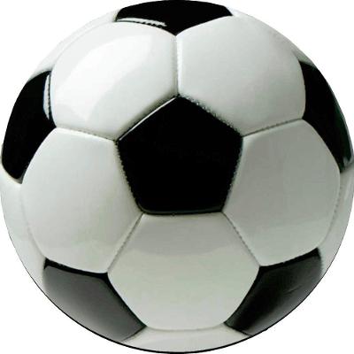 Capa Estepe Ecosport Crossfox Bola de Futebol CN193 Lorben