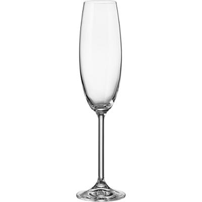 Taça Champanhe Bohemia Natalia Maxima Cristal 230 ml 6 Peças