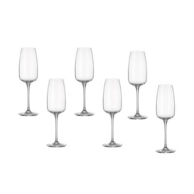 Taça de Champanhe Anas 290ml com 6 Peças - Bohemia