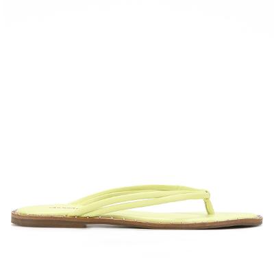Rasteira Shoestock Color Tiras Rebites